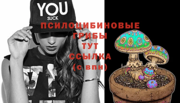 mdpv Кулебаки